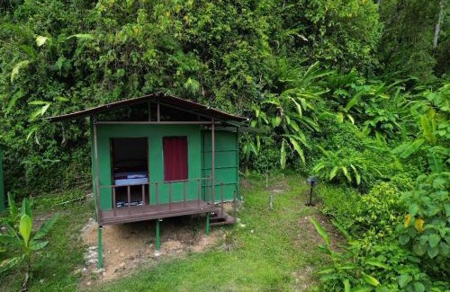 Quebrada La Gamba Kabine | Río Verde Ecolodge