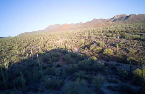 Picture Rocks Haus | R&R in Saguaro Natl Park