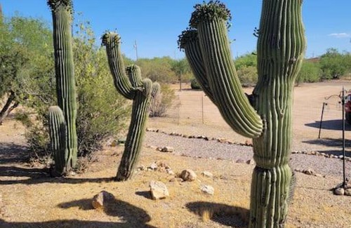 Picture Rocks Haus | R&R in Saguaro Natl Park