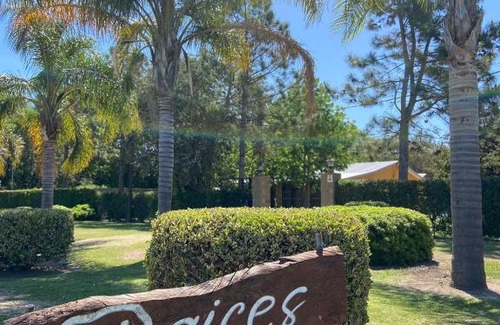 San Pedro Haus | Raíces