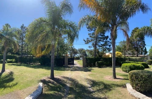 San Pedro Haus | Raíces