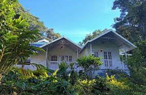 Devikolam Hütte | Rain Forest Resort - Munnar