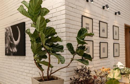 Circasia Haus | Rancho El Rocio