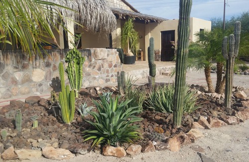 San Ignacio Haus | Rancho Espinoza befindet sich in einer Oase
