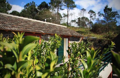 Calheta Haus | Raposeira Chloe T2