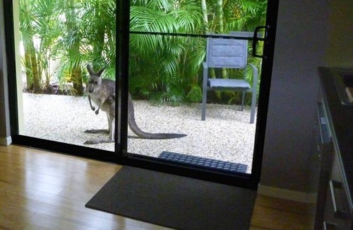 Woolgoolga Wohnung | Golden Cane Couples Retreat - Privatsphäre am Wasser in Woolgoolga, Coffs Harbour
