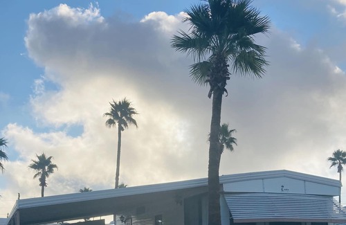 Apache Junction Hütte | BEREIT FÜR IHREN BESUCH! Genießen Sie die Sonne, den Pool, die Aktivitäten und VIELES MEHR!