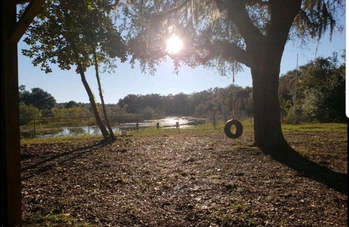 Fort McCoy Haus | Realitätscheck / Salt Springs