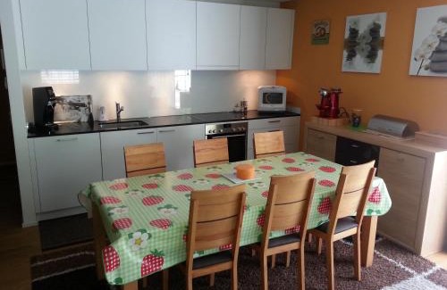Realp Wohnung | Realp-Andermatt 3,5 locali giardino privato In mezzo la natura, spettacolare per appassionati montanbike, pesca ecc In inverno fai sci di fondo dal giardino e con il treno davanti a casa si raggiunge in 5min il comprensorio scistico di Andermatt