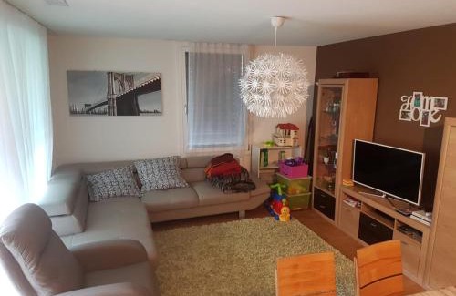 Realp Wohnung | Realp-Andermatt 3,5 locali giardino privato In mezzo la natura, spettacolare per appassionati montanbike, pesca ecc In inverno fai sci di fondo dal giardino e con il treno davanti a casa si raggiunge in 5min il comprensorio scistico di Andermatt