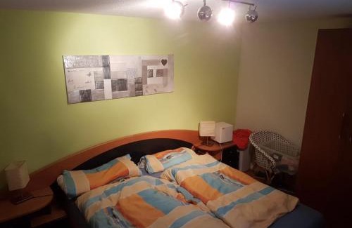 Realp Wohnung | Realp-Andermatt 3,5 locali giardino privato In mezzo la natura, spettacolare per appassionati montanbike, pesca ecc In inverno fai sci di fondo dal giardino e con il treno davanti a casa si raggiunge in 5min il comprensorio scistico di Andermatt