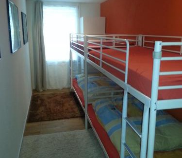 Realp Wohnung | Realp-Andermatt 3,5 locali giardino privato In mezzo la natura, spettacolare per appassionati montanbike, pesca ecc In inverno fai sci di fondo dal giardino e con il treno davanti a casa si raggiunge in 5min il comprensorio scistico di Andermatt