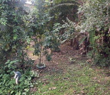 Arquipelago Verde Haus | Recanto Piscina na Mata