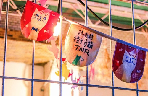 Tainan City Centre Haus | Red Letter Day