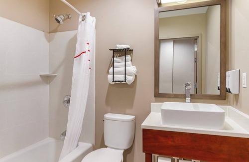 Queens Hotel | Red Roof Inn PLUS+ Jamaica, NY – JFK Airport