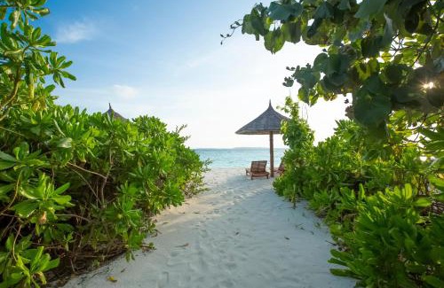 Filaidhoo Resort | Reethi Faru Resort - Stay 5 Nights or more & Enjoy a Free Sunset Cruise