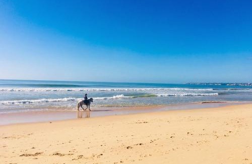 Salgados Wohnung | Regenbogen Properties - Salgados Vila das Lagoas