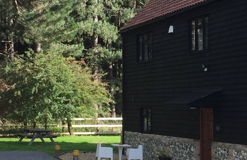 Bury St Edmunds Hütte | Entspannen Sie in Blick auf den Wald