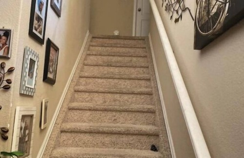 Stetson Hills Haus | Relaxing and quiet