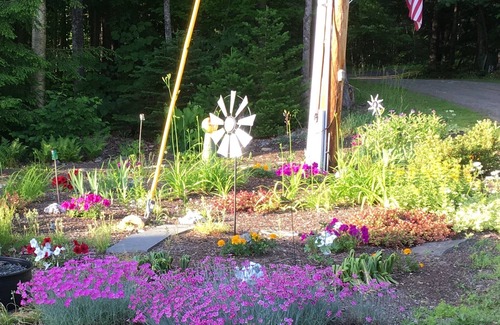 Dexter Wohnung | Relaxing Apartment in Dexter