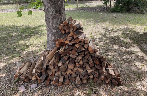 Clermont Haus | Relaxing home on the west orange bike trail.