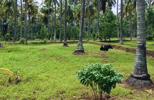 Anaimalai Sonstige | Relaxing Retreat at Mullai Farm Stay near Pollachi