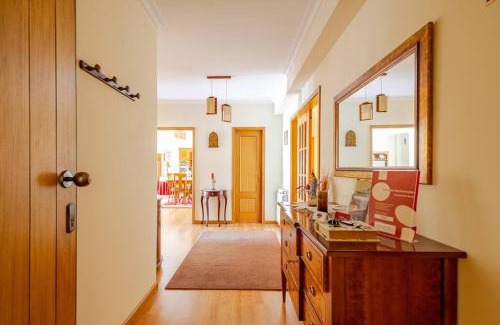 Lamego Wohnung | Remédios Apartment