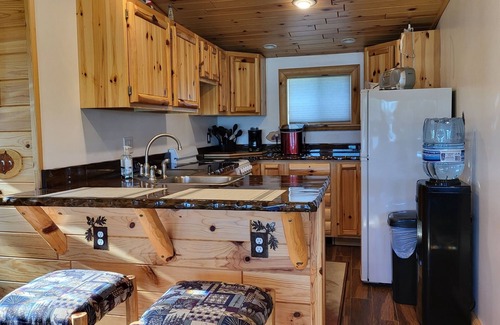 Sheridan Hütte | Remodeled Cottage w/Gfireplace, super close to Fred Meijer Heartland trail