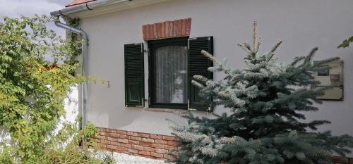 Csabrendek Haus | Rendeki Vendégház, ÖNÁLLÓ ház