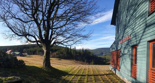 Mala Upa Haus | Renerovka 93