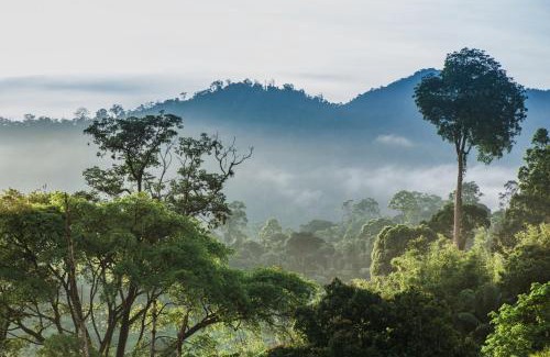 Janda Baik Villa | Rest Pause Rainforest Retreat