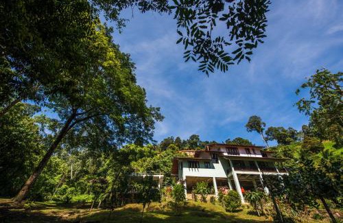 Janda Baik Villa | Rest Pause Rainforest Retreat