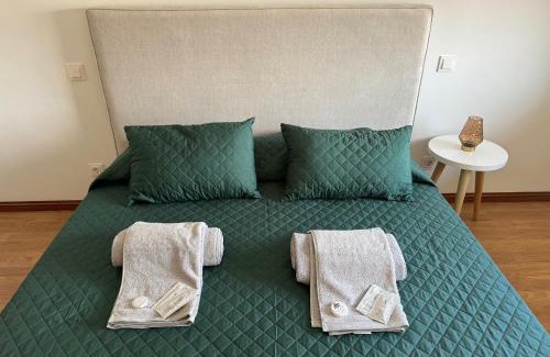 Furadouro Wohnung | Retiro da Bina