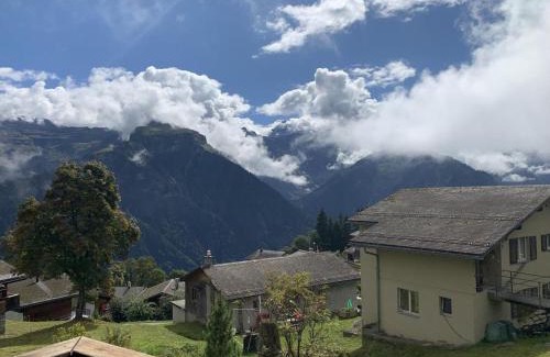 Braunwald Haus | Revier Silberdistel im Schwettiberg