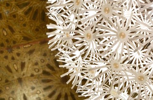 Meknes Medina Haus | Riad La Maison D'à Côté