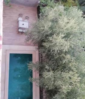 Ibrrahne Haus | Riad Tazawa