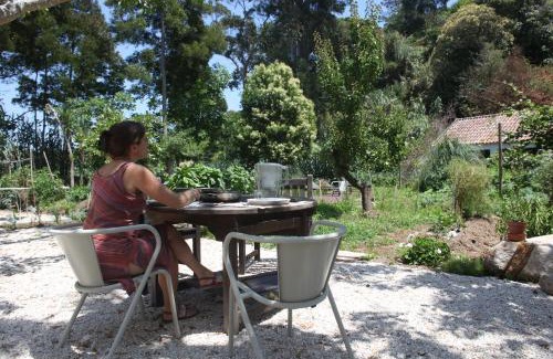 Monserrate Wohnung | ribeira dos marinheiros amarelo