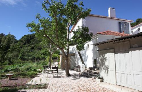 Monserrate Wohnung | ribeira dos marinheiros amarelo