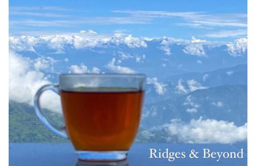 Lebong and Mineral Spring Tea Garden Haus | Ridges & Beyond