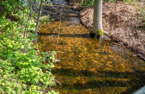 Baileys Harbor Resort | Ridges Inn & Suites