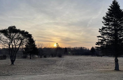 Rose City Haus | Rifle River Lodge