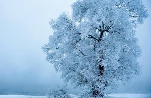 Longtan District Haus | Rime Island Manzhaosongju Inn