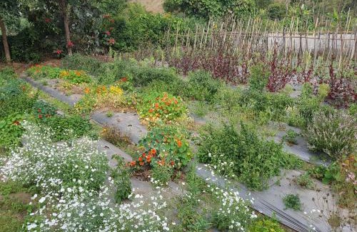 Kecamatan Sembalun Resort | Rinjani Family Homestay