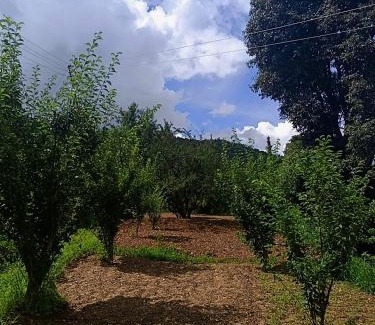 Mukteshwar Haus | Riturain