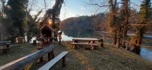 Netretic Haus | River house "Green butterfly"