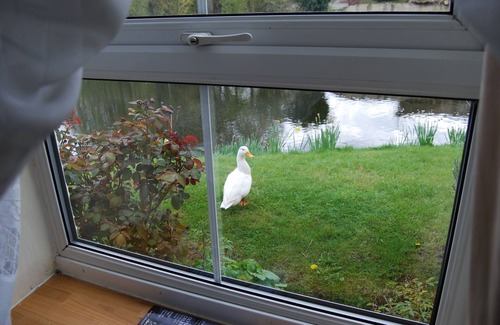 Downham Market Hütte | Riverside Cottage - Zwei Schlafzimmer Kleines Landhaus, Schläft 3
