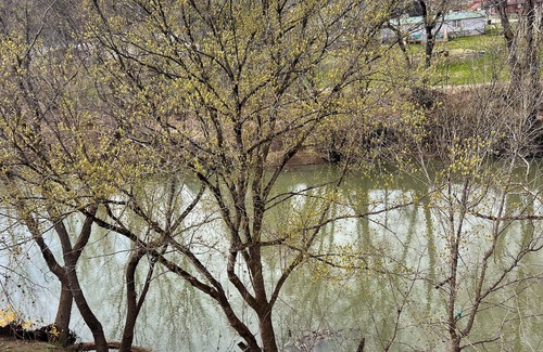 Chapmanville Wohnung | Riverview Retreat II, Charming 2 BR apartment with WiFi in Chapmanville, WV