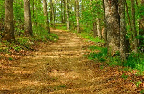 Dixon Haus | Rock Eddy Bluff Farm Cabins