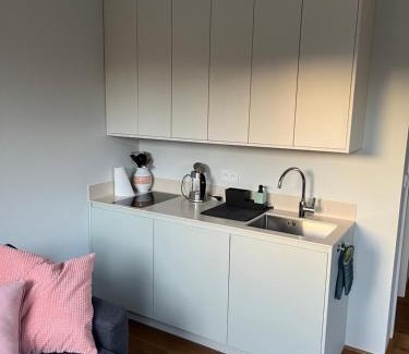 Jablonec nad Jizerou Wohnung | Rodinný apartmán Bratrouchov