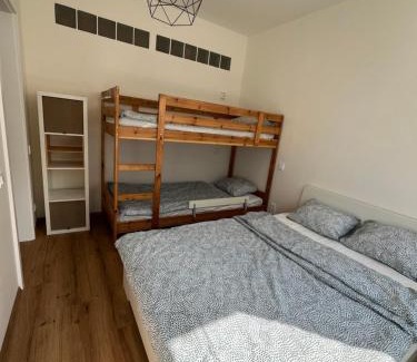 Borovany Wohnung | Rodinný Apartmán U Pralesa